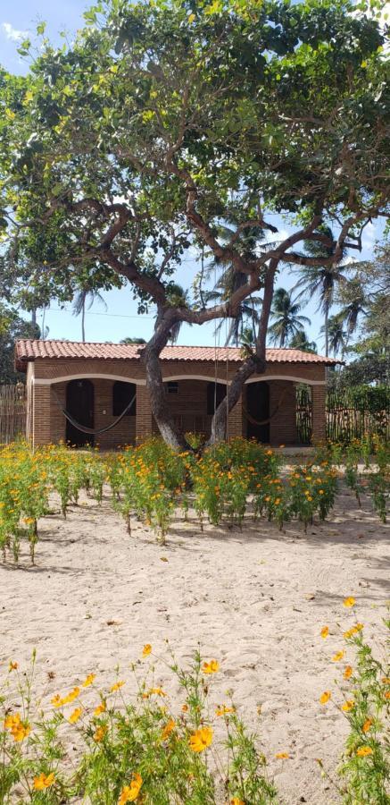 Pousada Vila Mangue Seco 日若卡-迪热里科阿科阿拉 外观 照片